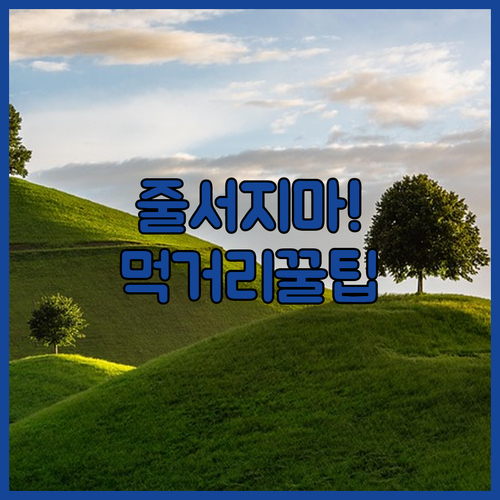 랜더스필드 먹거리 공략법 및 앱 주문 이용 안내