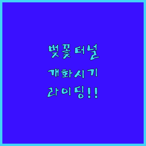 낙동강변 벚꽃 터널 개화 시기와 자전거 라이딩 코스 정리