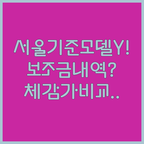 서울 기준 모델 Y 보조금 지원 내역과 체감가 비교