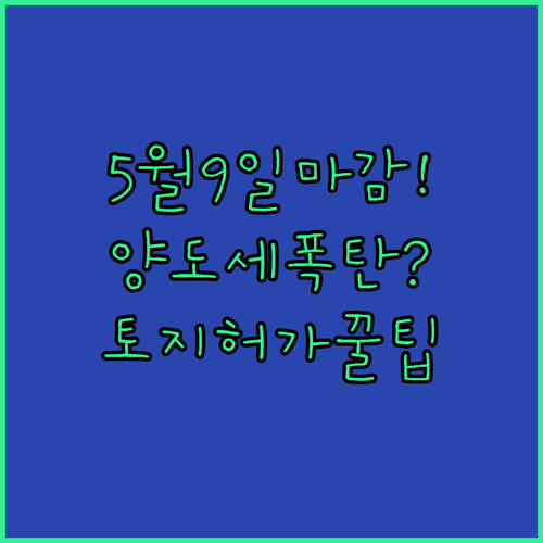 다주택자 양도세 중과 유예 5월9일 마감, 토지거래허가 신청 조건과 서류