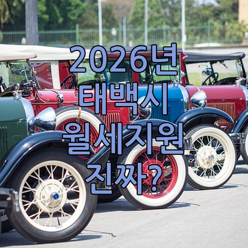 2026년 태백시 청년월세지원 총정리 지원 대상 신청 방법 지원 금액