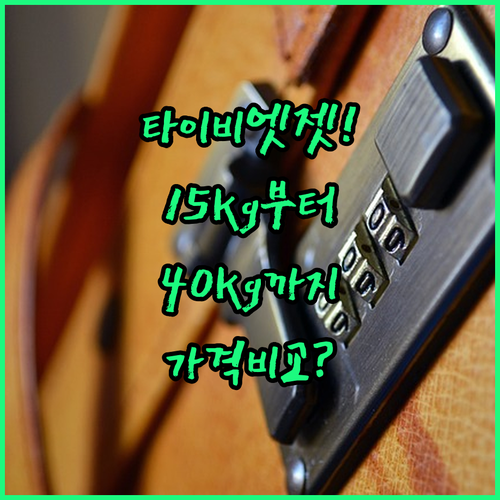 타이비엣젯 위탁수하물 | 15kg부터 40kg까지 옵션과 가격 비교