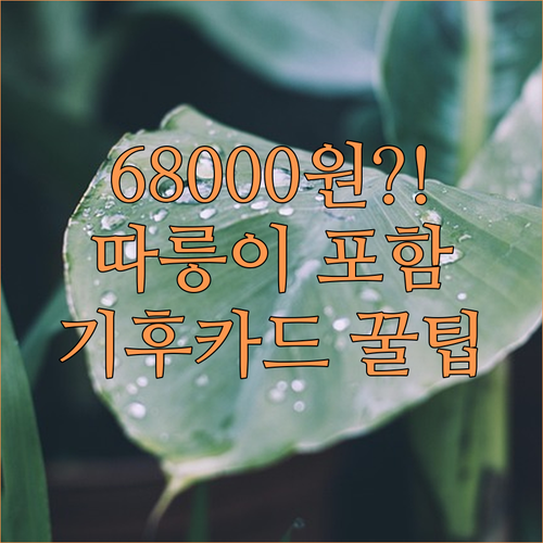 2026년 기후동행카드 요금 68000원 따릉이 포함