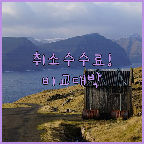 베이직 이코노미부터 비즈니스까지 유나이티드 취소 수수료 비교