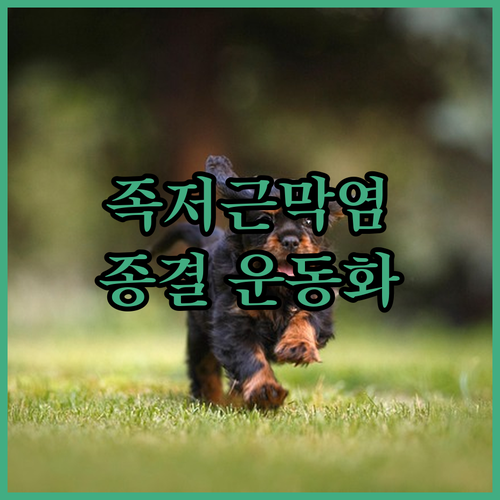 image 0be75dcc