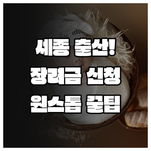 세종시 출산장려금과 출생신고 원스톱 신청 절차 알아보기
