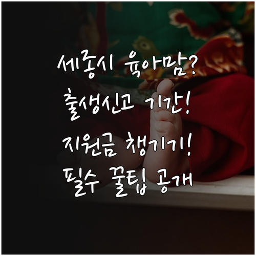세종시 출생신고 기간과 출산지원금 수령 방법 살펴보기