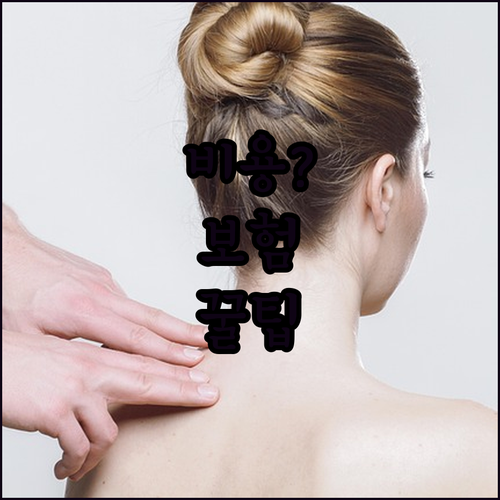 고관절 물리치료 비용 확인 | 건강보험 적용과 치료항목별 비용