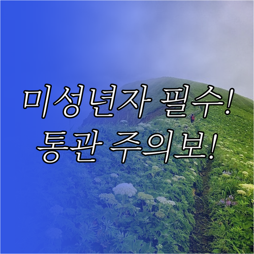 미성년자 개인통관고유부호 발급 후 통관 주의사항