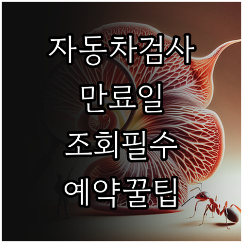 자동차검사 만료일 조회 시 필요한 정보와 예약 절차